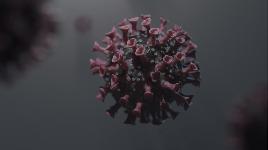 Using Big Data Analytics to Predict and Prevent Disease&nbsp;Outbreaks